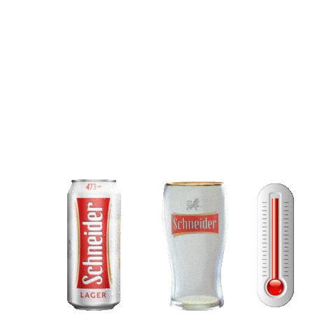 Schneider Argentina Sticker