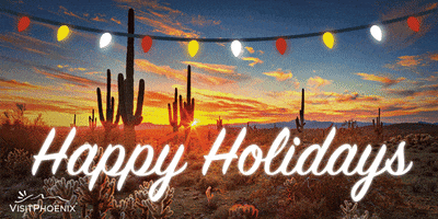 VisitPhoenix christmas holiday sunset cactus GIF