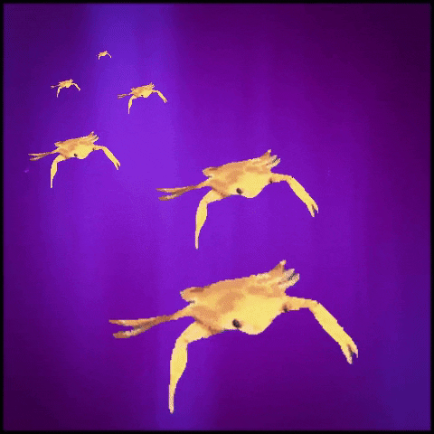 Swimming Crab GIF by MOODMAN