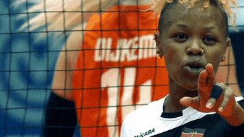 Sign Talk GIF by Volleyball World