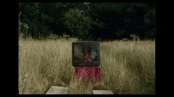 Television Set Channel GIF by BAD CHILD
