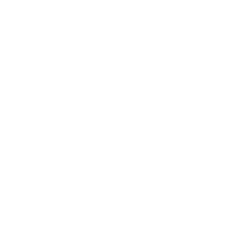 Arrow Chinchilla Sticker by ChinChile Products