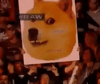 Charistheai Dogepound GIF - Charistheai Dogepound Doge - Discover & Share  GIFs