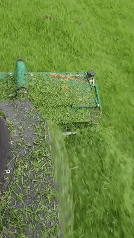 jimmythemower grass jimmy field tractor GIF