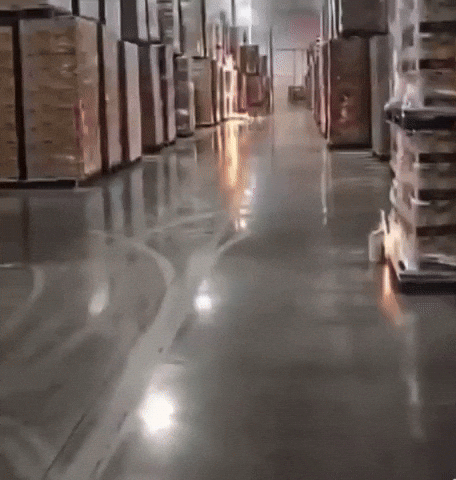 Ai Cgi GIF