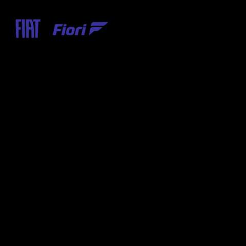 GIF by Fiori Fiat