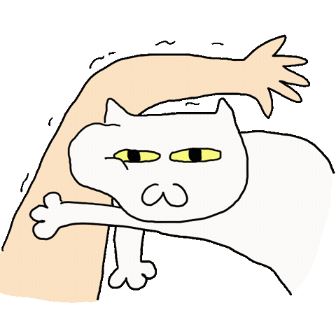 Cat Pig Sticker