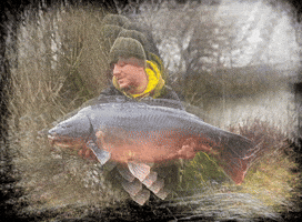 CarpDeal GIF