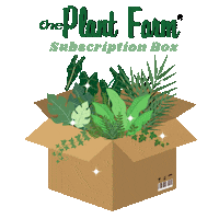 Plant Mom Subscription Box Sticker by The Plant Farm