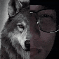 Mad Explosion GIF