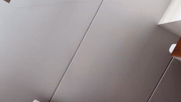 Furry GIF