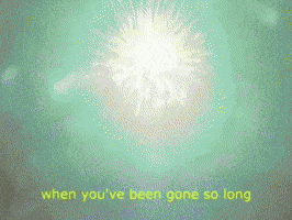 Rock Guitar GIF by Scarlet House