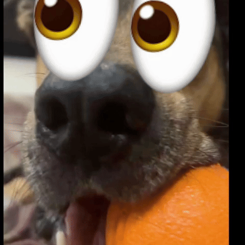 Fun GIF