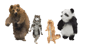 Happy Dance Sticker by WWF Romania