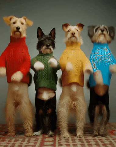 GIF by Ville de Montreuil