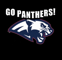 Dwyer High School GIF