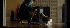 blake lively dog GIF by The Age of Adaline
