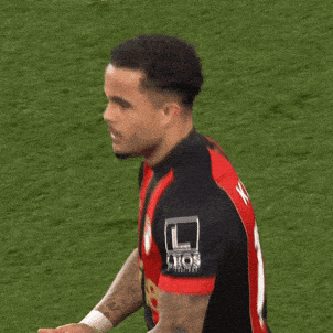 Premier League Football GIF by AFC Bournemouth