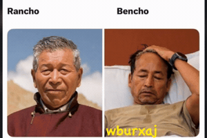 Rahul Gandhi Bjp GIF