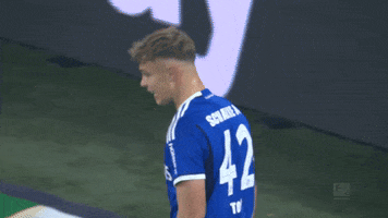 Football Thumbs Up GIF by FC Schalke 04