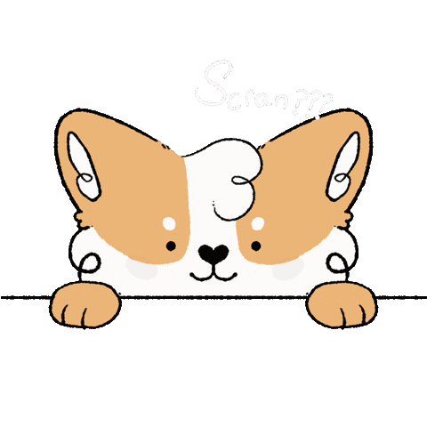 Dog Corgi Sticker