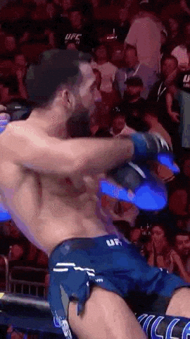 Fight Ufc GIF by promaslist