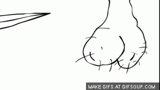 giphy.gif