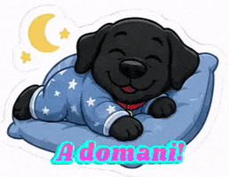 Oreo A Domani GIF
