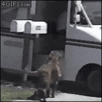 200w.gif?cid=82a1493bv709bgw6z8zza2osvj3