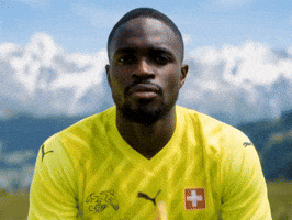Yvon Mvogo Football GIF by Herr Fuchs Zurich