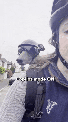 Zozo GIF
