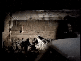 matantaktik  GIF