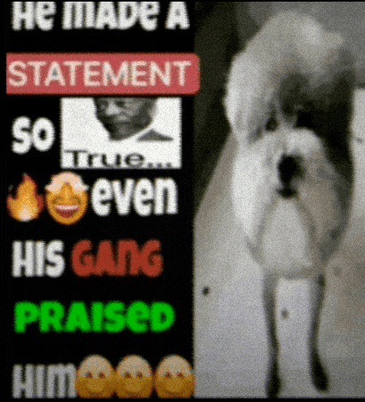 He Made A Statement GIF