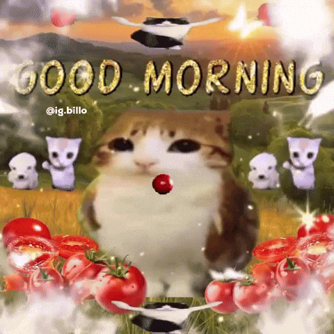 Good Morning GIF