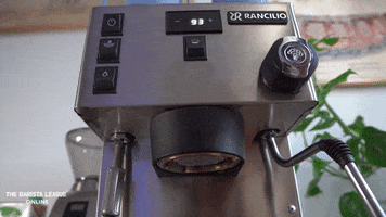 Coffee Tamp GIF by The Barista League