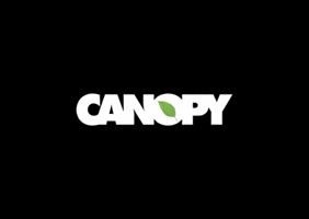 Canopy GIF by Afterwork Seoul
