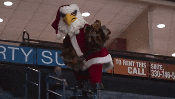 thehubbardeagle balance eagle santa suit eagle mascot GIF