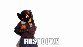 First Down Utm GIF by utmartin
