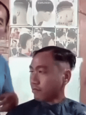 Jokowi GIF