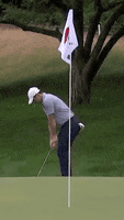 Rory Mcilroy Golf GIF by Travelers Championship
