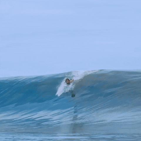 Surf Surfing GIF by ROXY