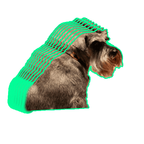 Tileyard_Ed Sticker