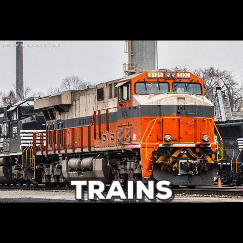 train trainlover GIF
