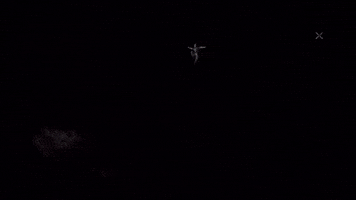 Free Fire GIF