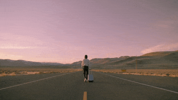 Road Trip Reaction GIF by Bay Ledges