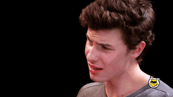 Shawn Mendes Wings GIF by First We Feast: Hot Ones