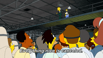 Cancel The Simpsons GIF by AniDom