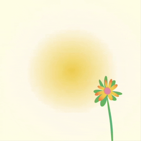 Bee GIF