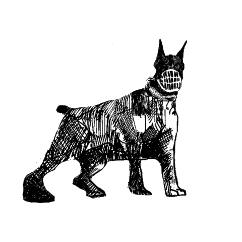 Animated Sticker
