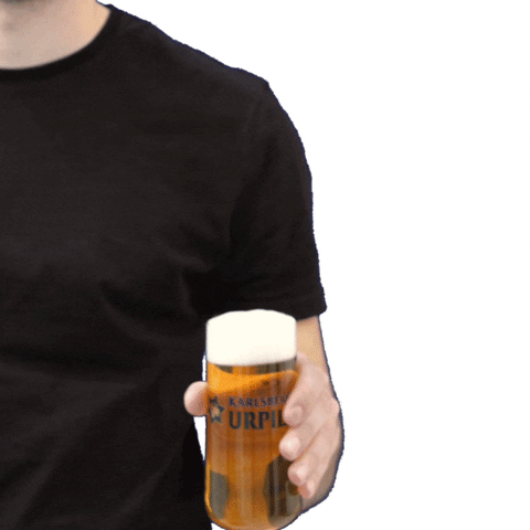 beer cheers GIF by Karlsberg Brauerei